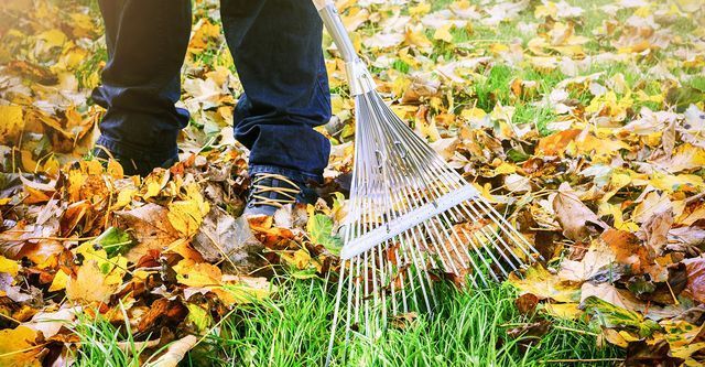 leaf raking!