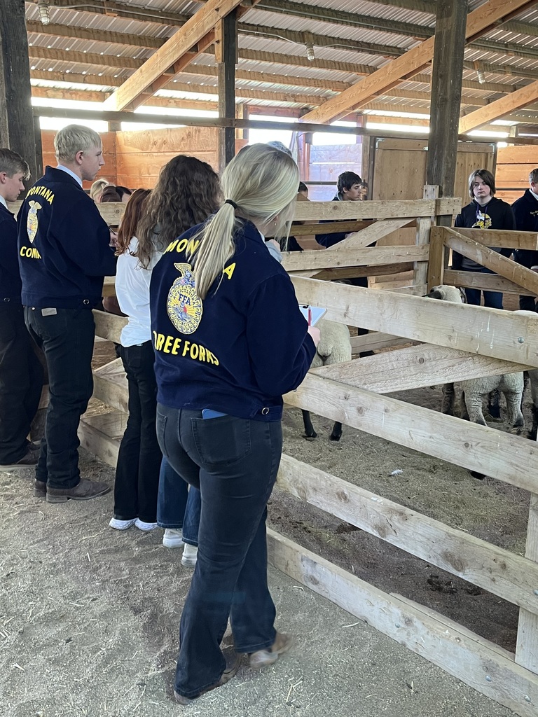 Pictures of our Livestock Team in action!